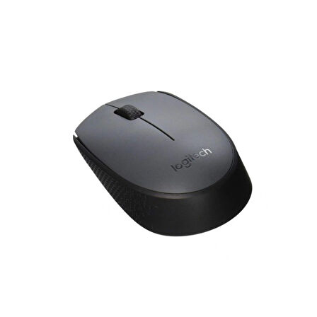 Logitech M170 910-004642 Optik Kablosuz Mouse