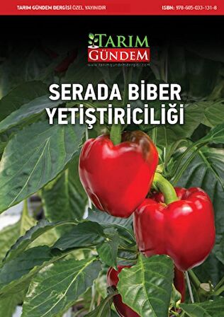 Serada Biber Yetiştiriciliği