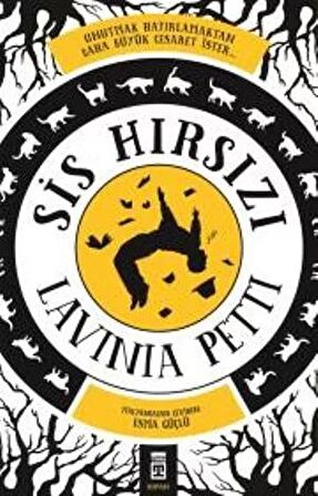 Sis Hırsızı