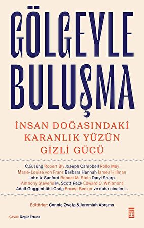 Gölgeyle Buluşma ve İnsan Doğasındaki Karanlık Yüzün Gizli Gücü