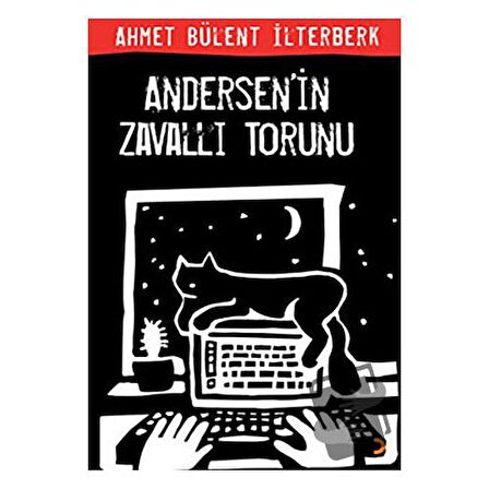 Andersen’in Zavallı Torunu