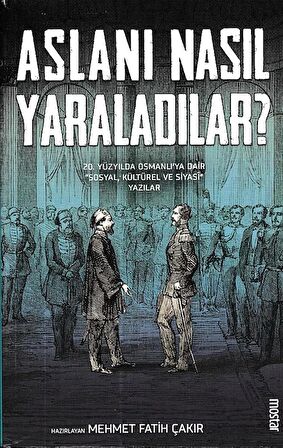 Aslanı Nasıl Yaraladılar?