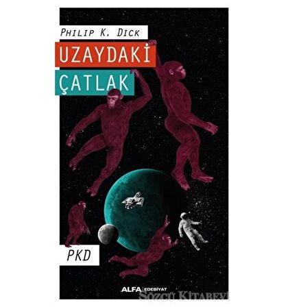 Uzaydaki Çatlak
