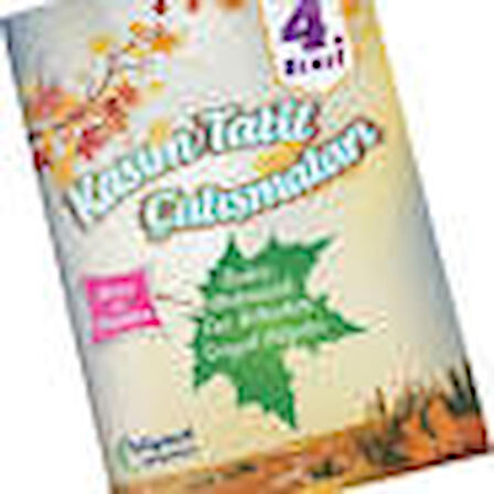 4. Sınıf Kasım Tatil Çalışmaları Bilgiseli Yayınları