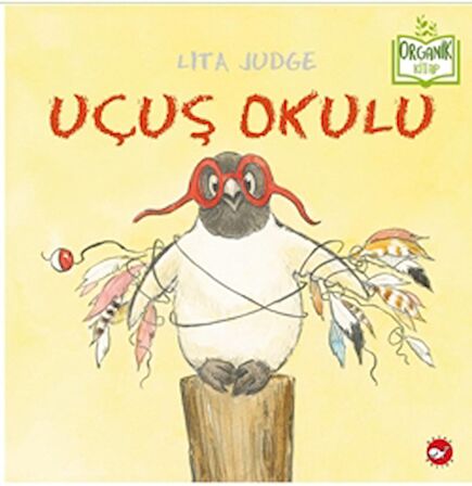 Uçuş Okulu