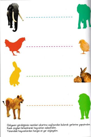  Çizgi Alıştırmaları Seti 5 Kitap - Yaz Sil Kalem Hediyeli