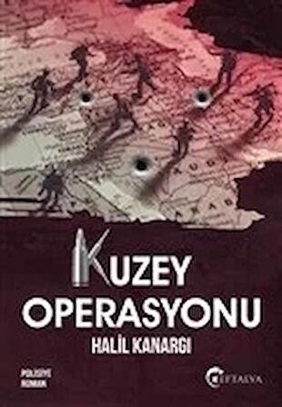 Kuzey Operasyonu