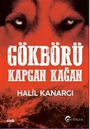 Gökbörü Kapgan Kağan