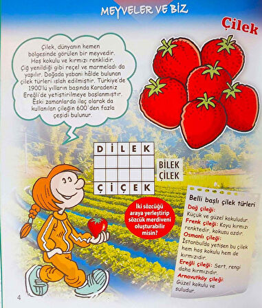 4 - 6 Yaş Sebzeler Meyveler ve Bahçe Aletleri Seti - 3 Kitap 48 Sayfa Eğitici Etkinlik