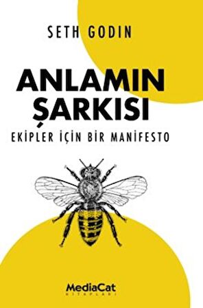 Anlamın Şarkısı