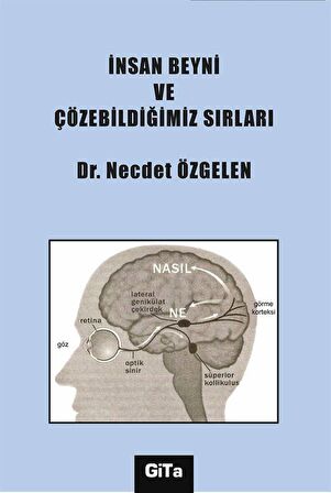 İnsan Beyni ve Çözebildiğimiz Sırları