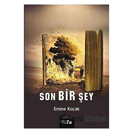 Son Bir Şey