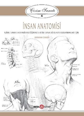 İnsan Anatomisi - Çizim Sanatı 6