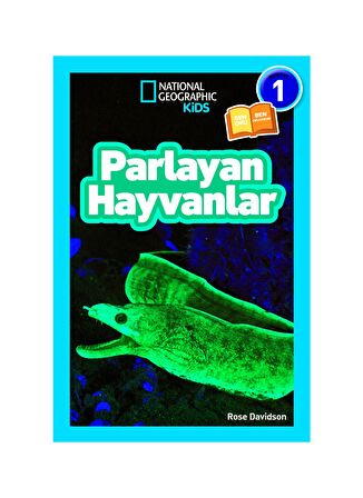 Parlayan Hayvanlar - Seviye 1