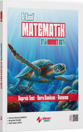 6. Sınıf Matematik 3 lü Kuvvet Serisi Seti İşleyen Zeka