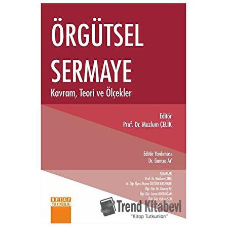 Örgütsel Sermaye Kavram, Teori ve Ölçekler