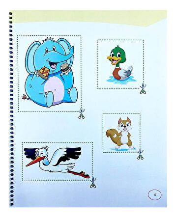 Limbik Kavramları Öğreniyor