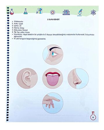 Limbik Yeni Keşifler Peşinde