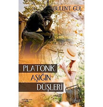 Platonik Aşığın Düşleri