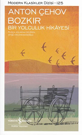 Bozkır Bir Yolculuk Hikayesi - Modern Klasikler Dizisi