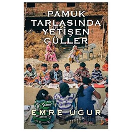 Pamuk Tarlasında Yetişen Güller