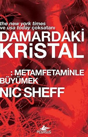 Damardaki Kristal: Metamfetaminle Büyümek