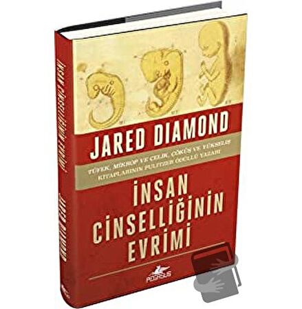 İnsan Cinselliğinin Evrimi
