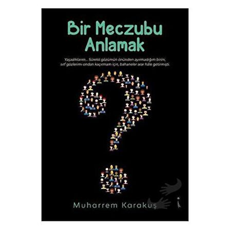 Bir Meczubu Anlamak