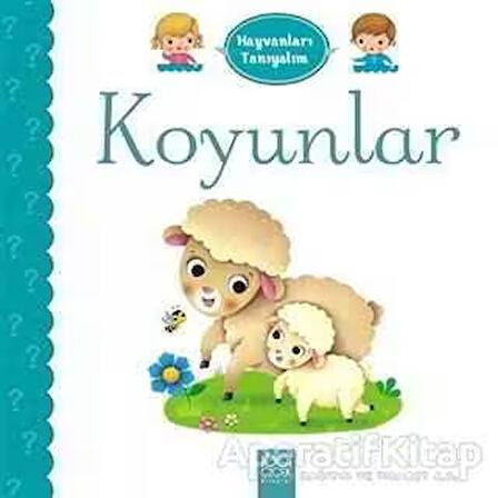 Hayvanları Tanıyalım - Koyunlar