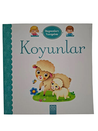 Hayvanları Tanıyalım - Koyunlar