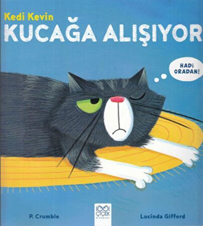 Kedi Kevin Kucağa Alışıyor