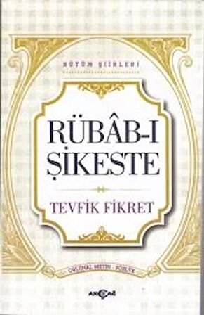 Rübab-ı Şikeste