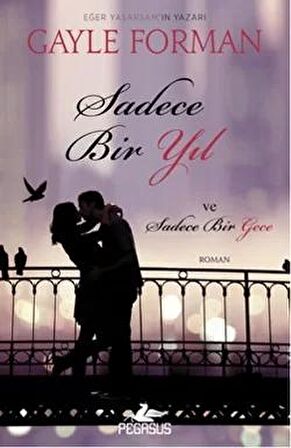 Sadece Bir Yıl ve Sadece Bir Gece