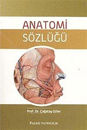 Anatomi Sözlüğü