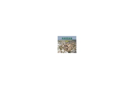 Harran Selahaddin Eyyubi Kale Sarayı – Harran II/2