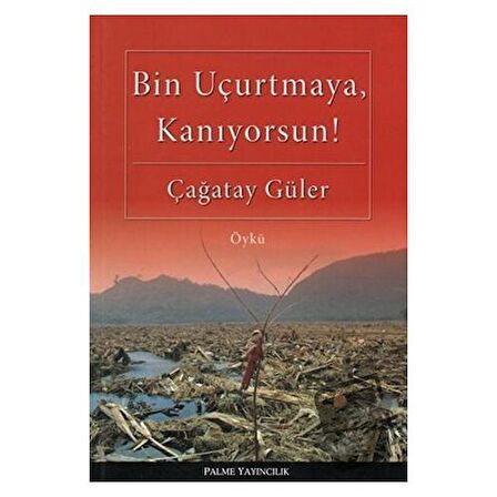 Bin Uçurtmaya, Kanıyorsun!