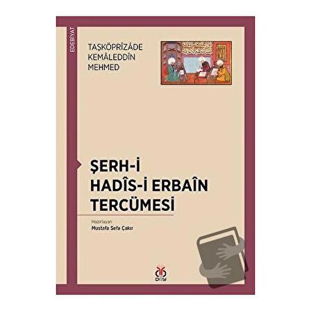 Şerh-i Hadis-i Erbain Tercümesi