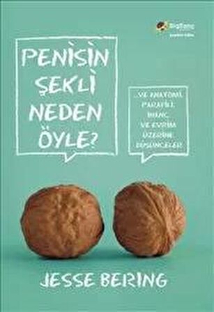 Penisin Şekli Neden Öyle?
