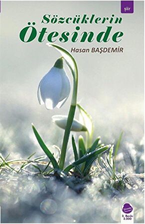 Sözcüklerin Ötesinde / Hasan Başdemir