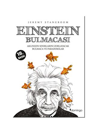 Einstein Bulmacası 1