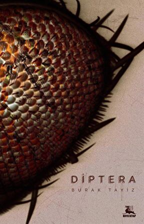 Diptera / Burak Tayiz