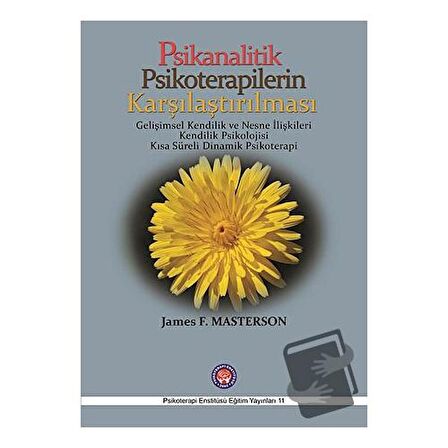 Psikanalitik Psikoterapilerin Karşılaştırılması