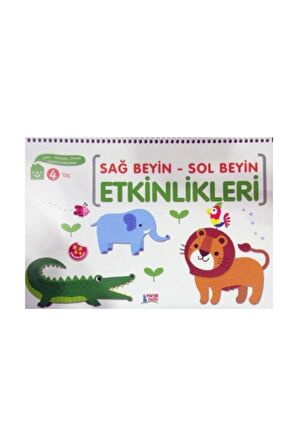 Sağ Beyin - Sol Beyin Etkinlikleri (4 Yaş)