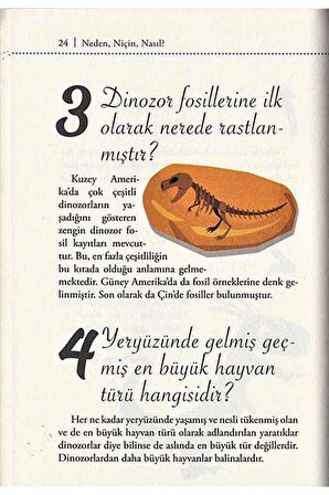 Süper Bilgi - Dinozorlar