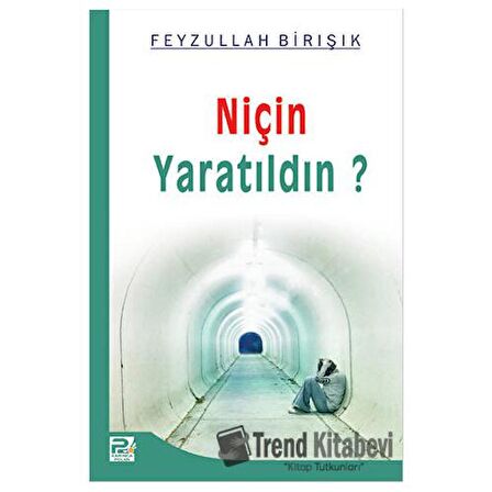 Niçin Yaratıldın?