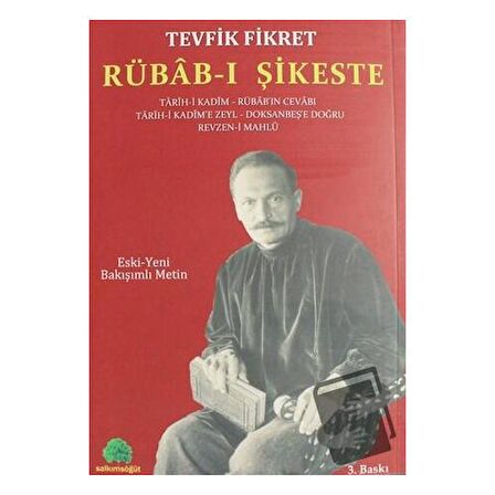 Rübab-ı Şikeste
