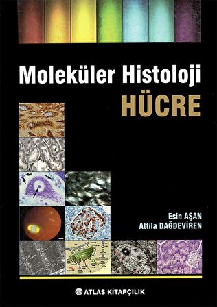 Moleküler Histoloji Hücre