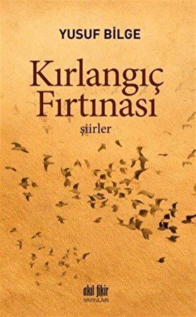 Kırlangıç Fırtınası