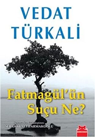 Fatmagül’ün Suçu Ne?