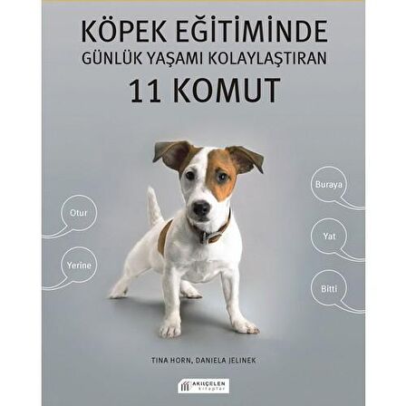 Köpek Eğitiminde Günlük Yaşamı Kolaylaştıran 11 Komut